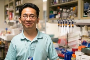 XUEFENG LIU, MD, PHD