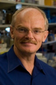 Photo of Dr. Anton Wellstein